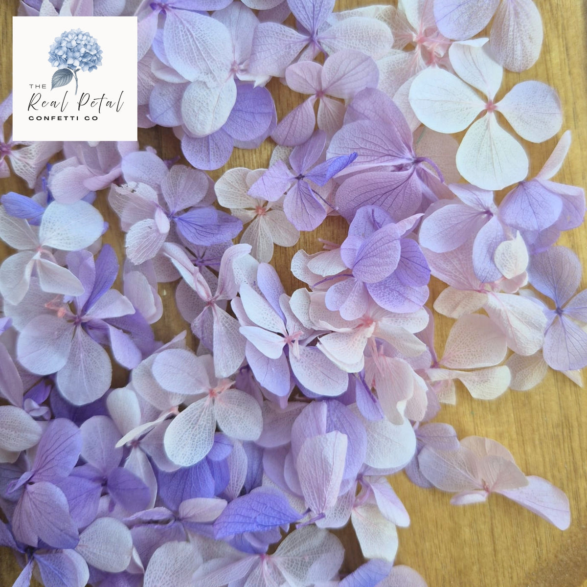 FlutterFly® Hydrangea Petals - Medium Purple Gradient