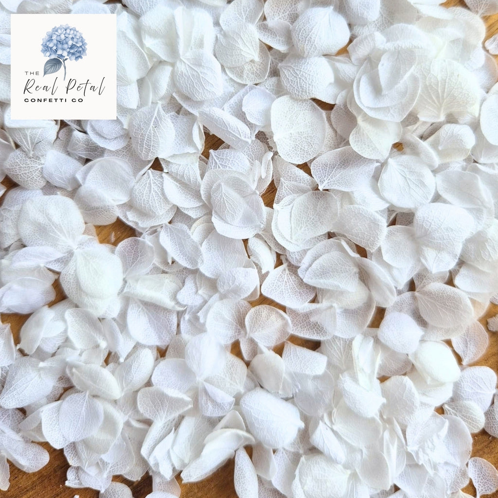 Snow Petals® Hydrangea Petals - Snow White