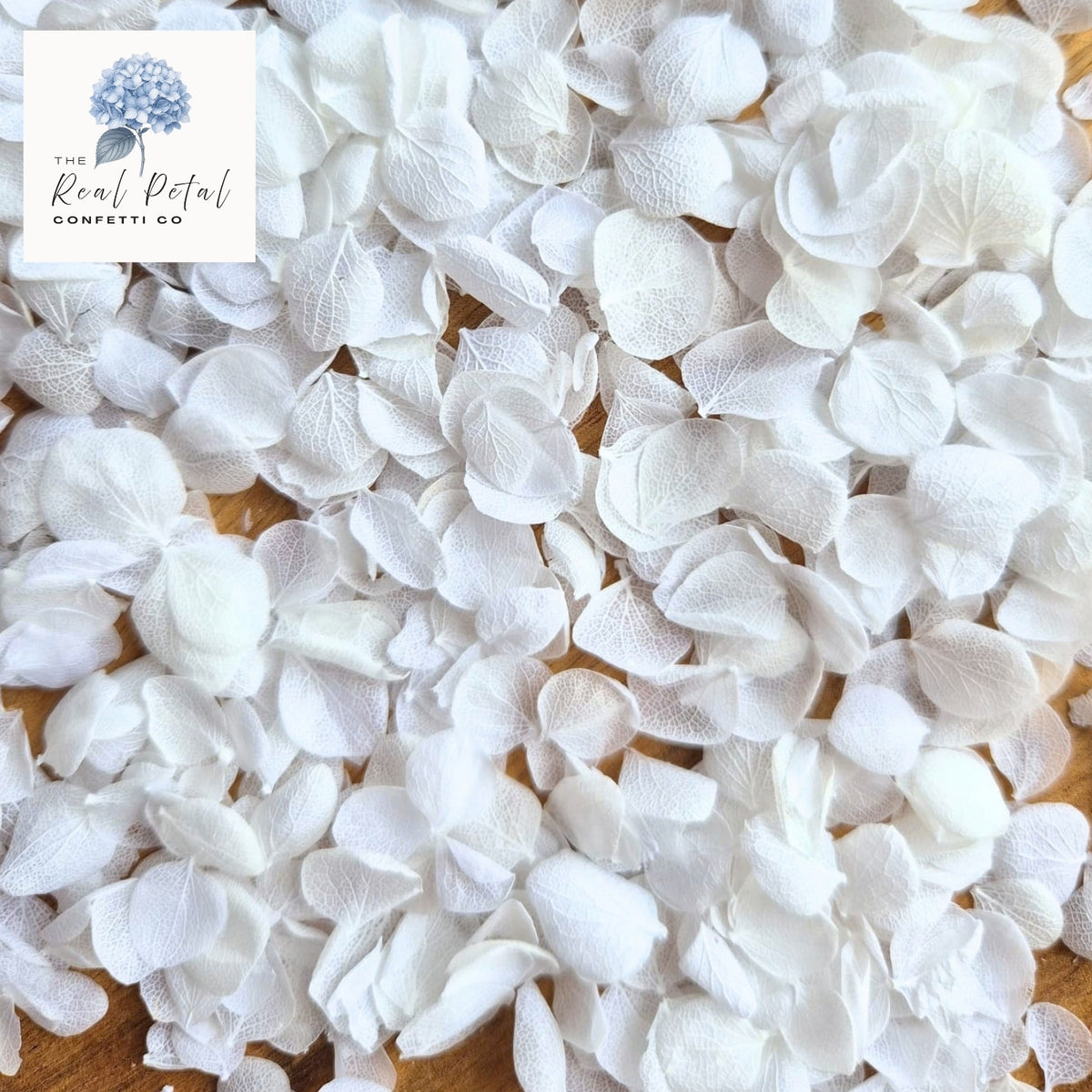 Snow Petals® Hydrangea Petals - Snow White
