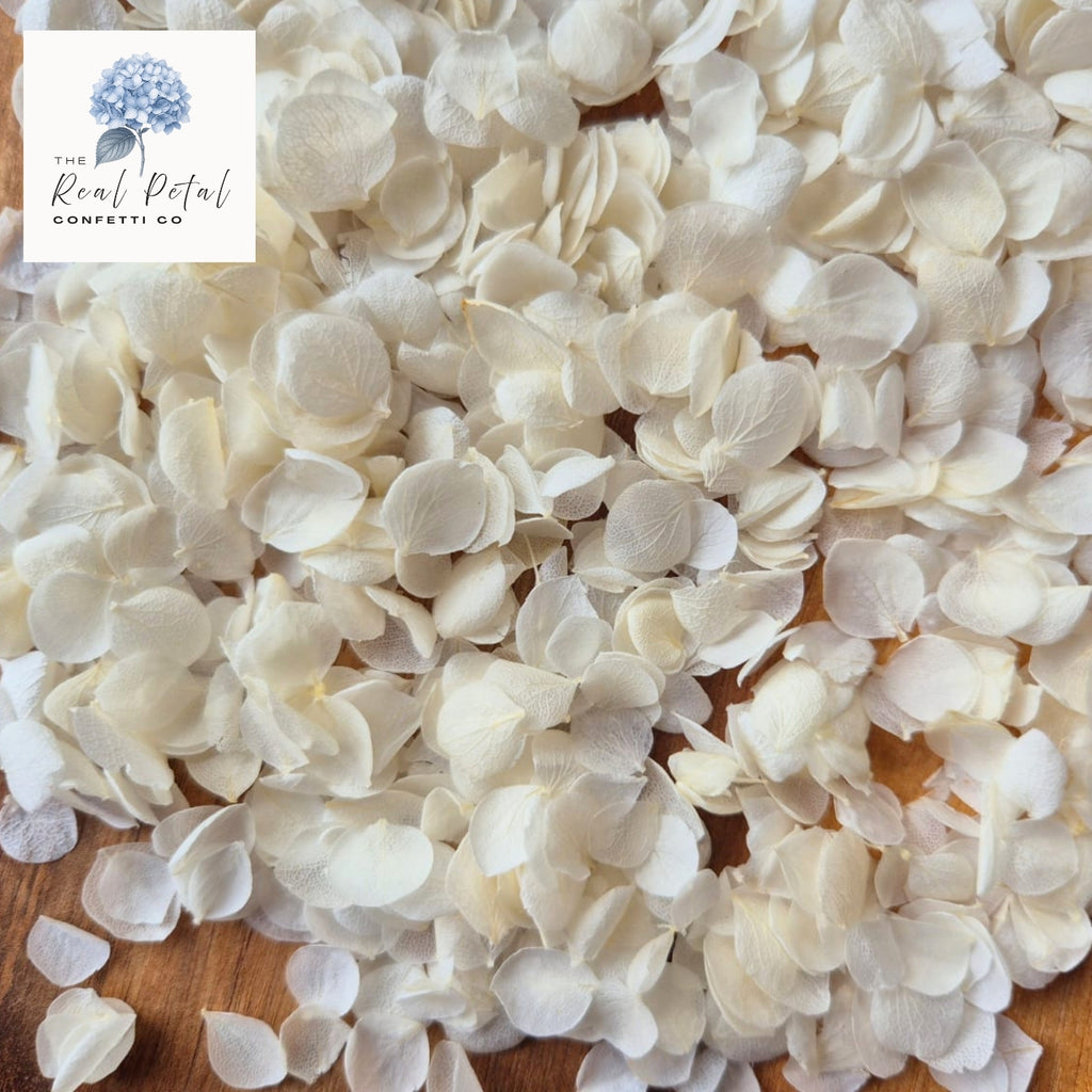 Snow Petals® Hydrangea Petals - Light Ivory