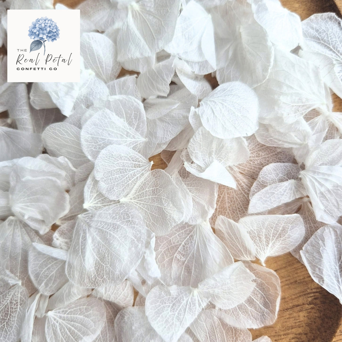 Hydrangea Petals - Bright White