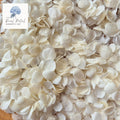 Snow Petals® Hydrangea Petals - Light Ivory