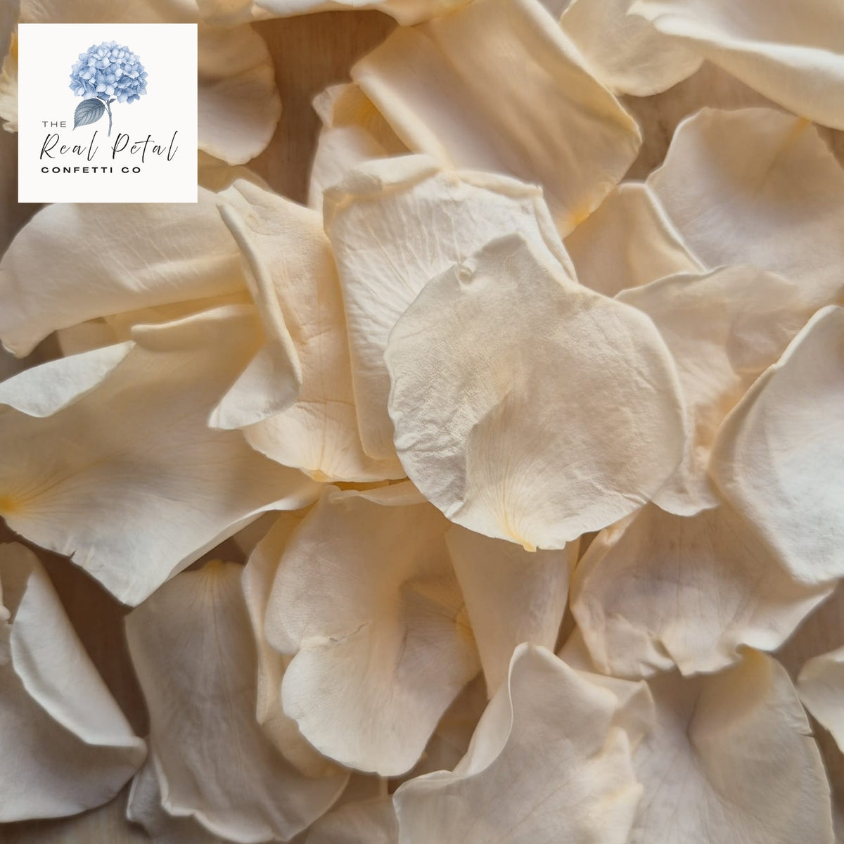Rose Petals - Light Peach