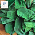 Rose Petals - Dark Green