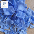 Rose Petals - Blue