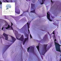 Rose Petals - Purple Hue
