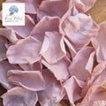 Rose Petals - Dusty Pink