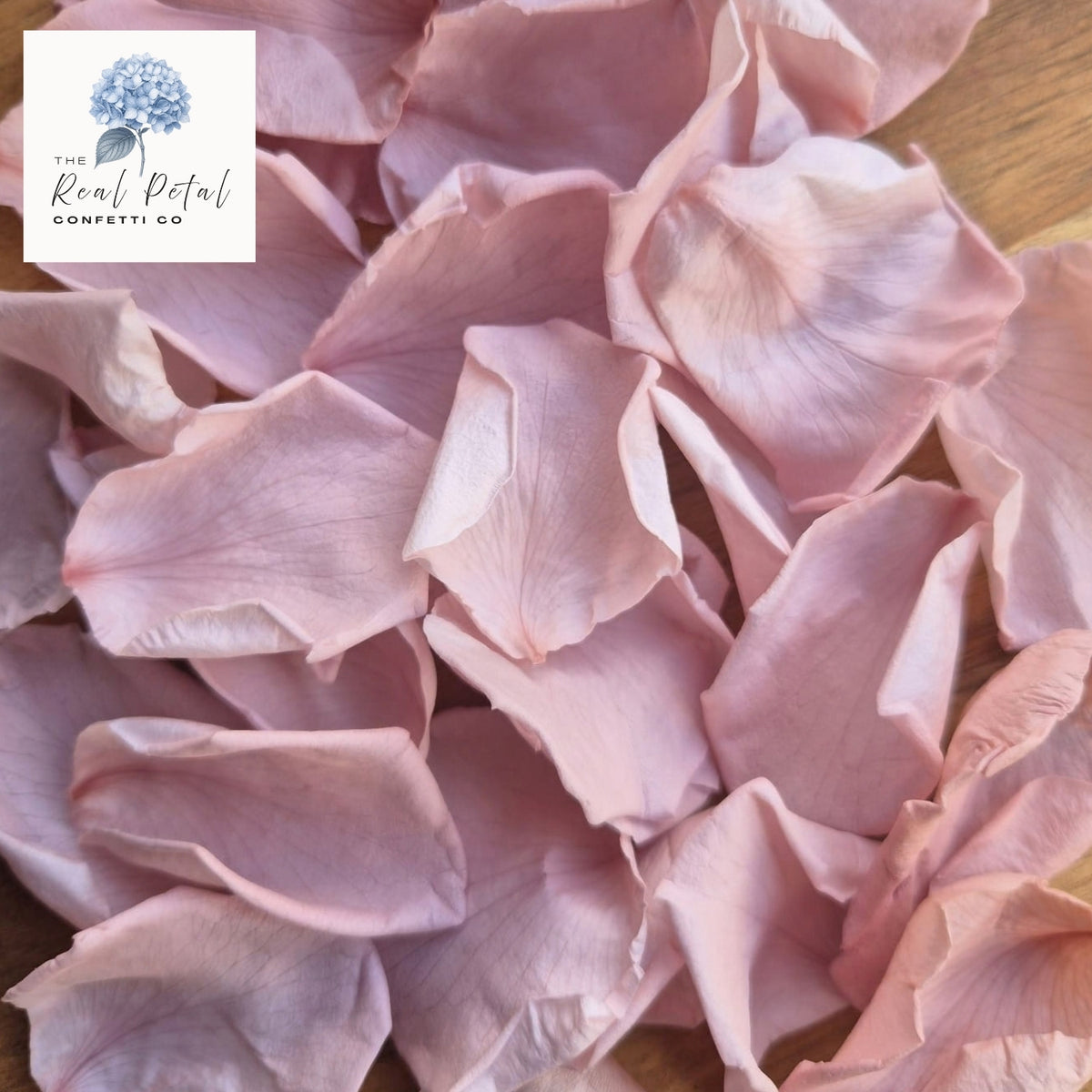 Rose Petals - Dusty Pink